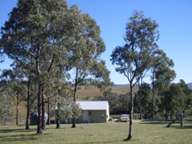 Accommodation among trees