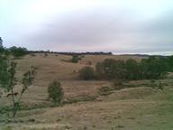 View from verandah